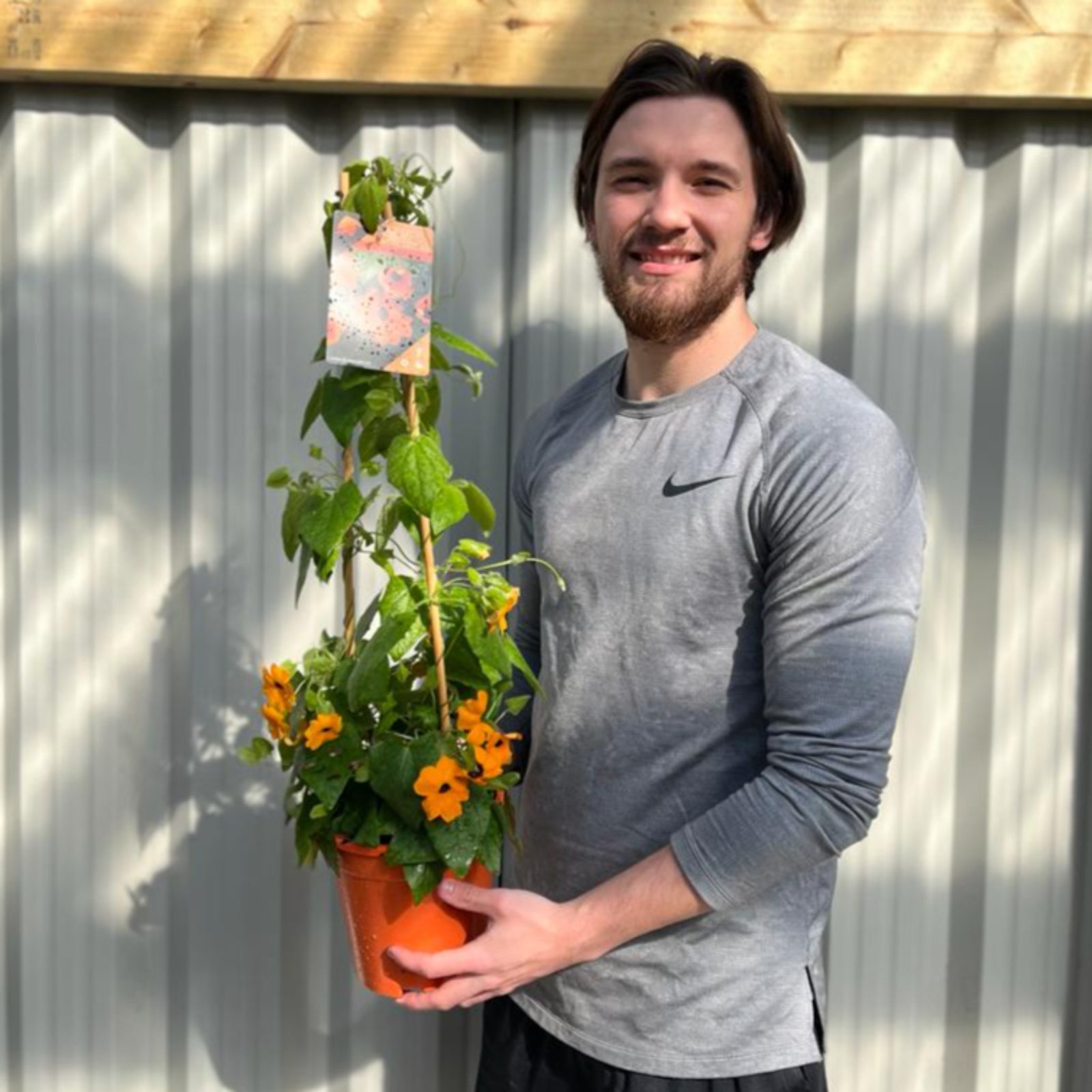 A smiling person in a gray long-sleeve shirt holds a Thunbergia alata Black Eyed Susie (Orange Eye) potted plant with bright orange blooms and a floral card, standing outside in front of a corrugated metal wall.