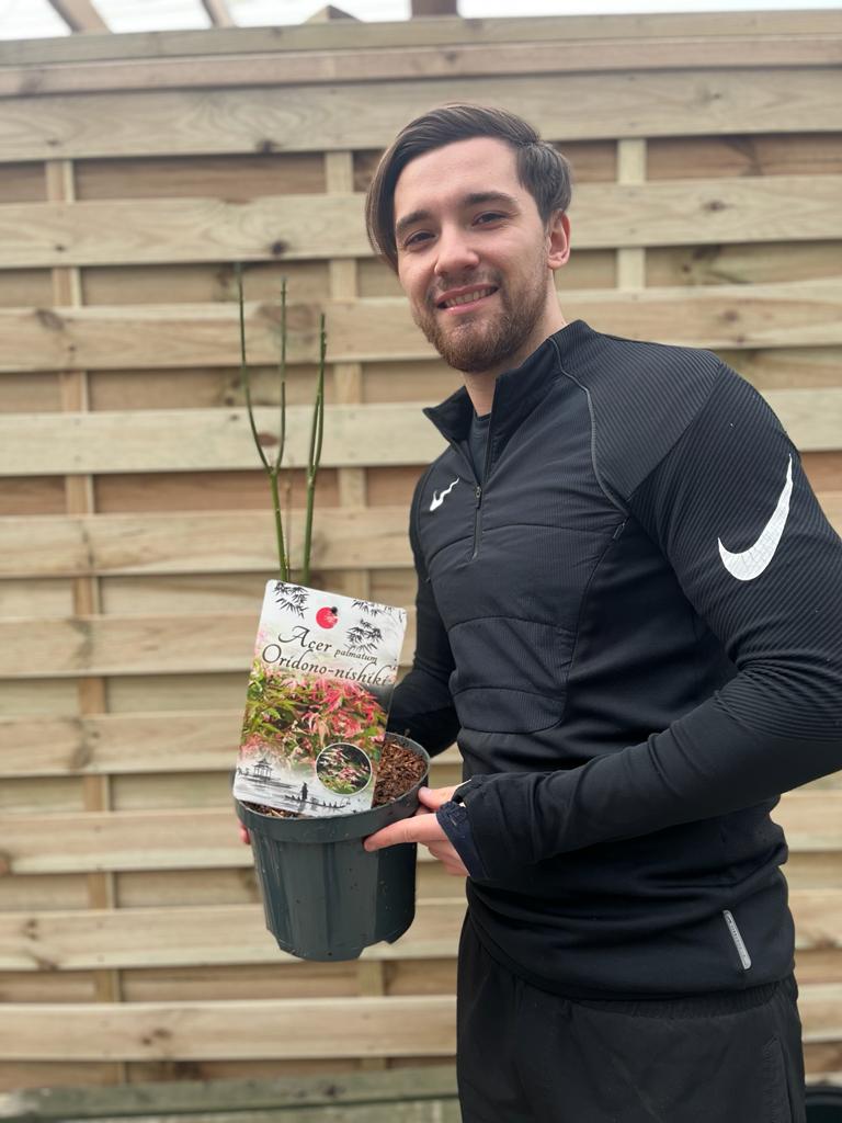 Acer palmatum Oridono-nishiki 3L