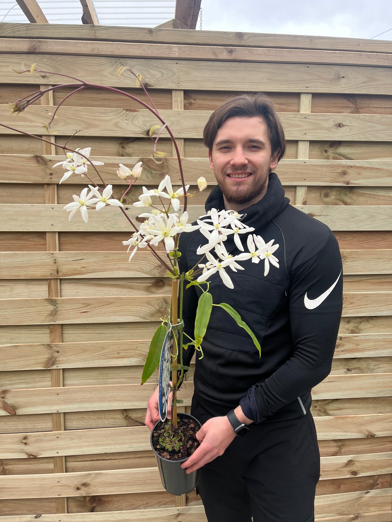 A smiling person with short brown hair and a beard, in a black Nike top, holds a potted Clematis armandii 'Snowdrift' 100cm (Evergreen and Fragrant) with white flowers, standing in front of a wooden fence.