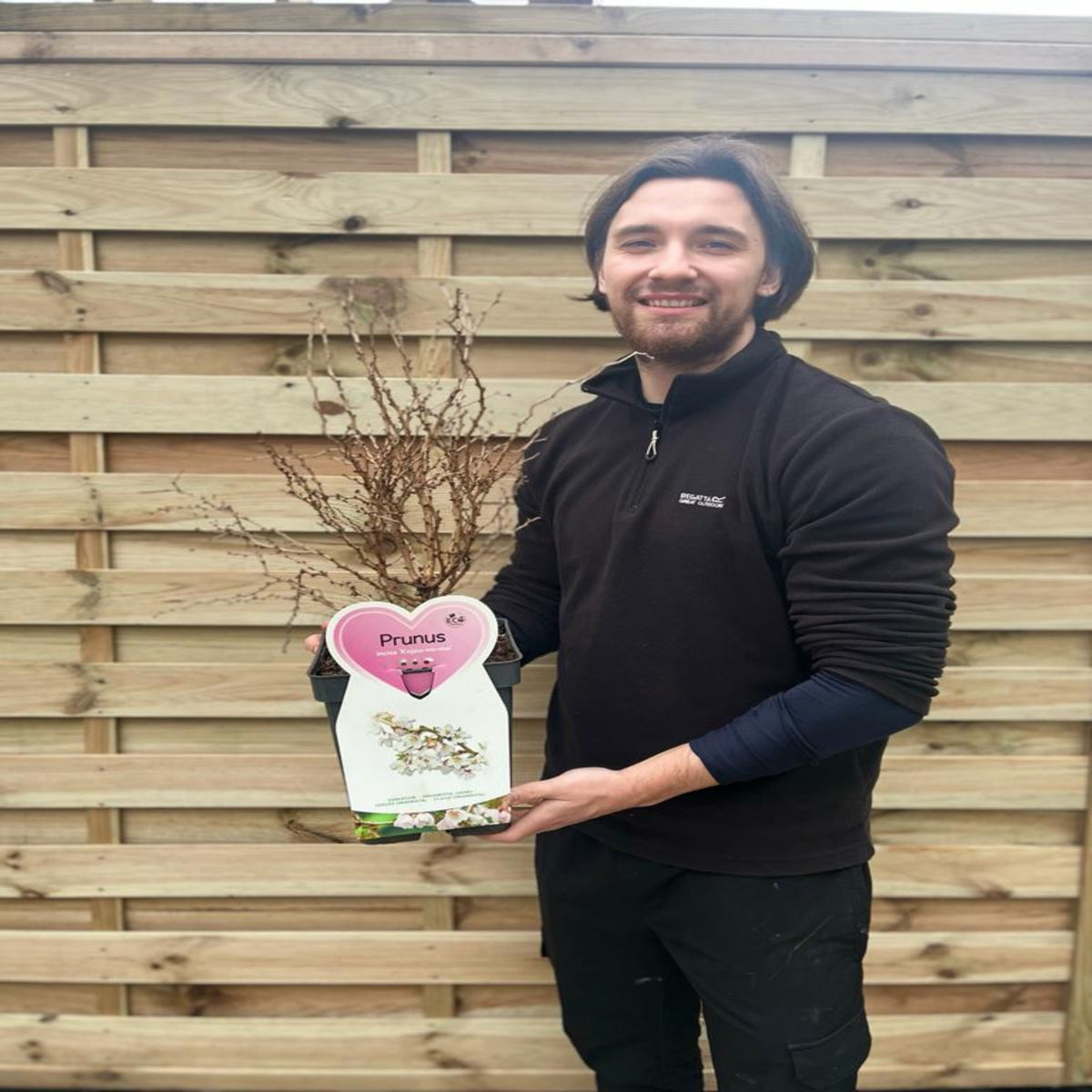 A smiling person in a black jacket holds a Prunus Ornamental Flowering Cherry Blossom Shrub &#39;KOJOU-NO-MAI&#39; (9cm/2L/4L) with a pink heart-shaped tag, perfect for container gardening, standing by a wooden fence.