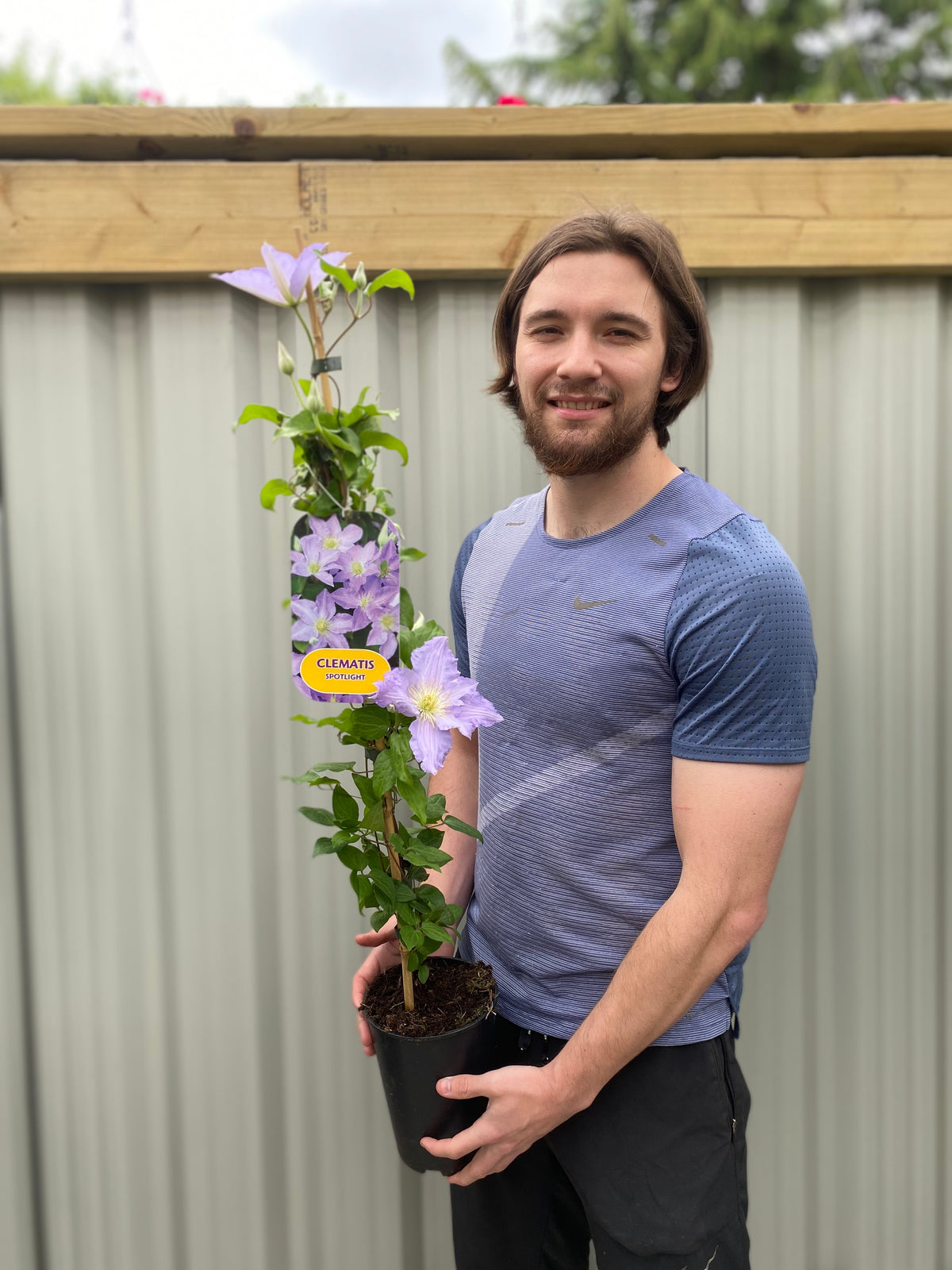 A man with medium-length brown hair and a beard, in a blue t-shirt, stands outside holding a potted Clematis &#39;Spotlight&#39; 90-95cm, its pale blue flowers shining. A wooden fence and corrugated metal wall are in the background.