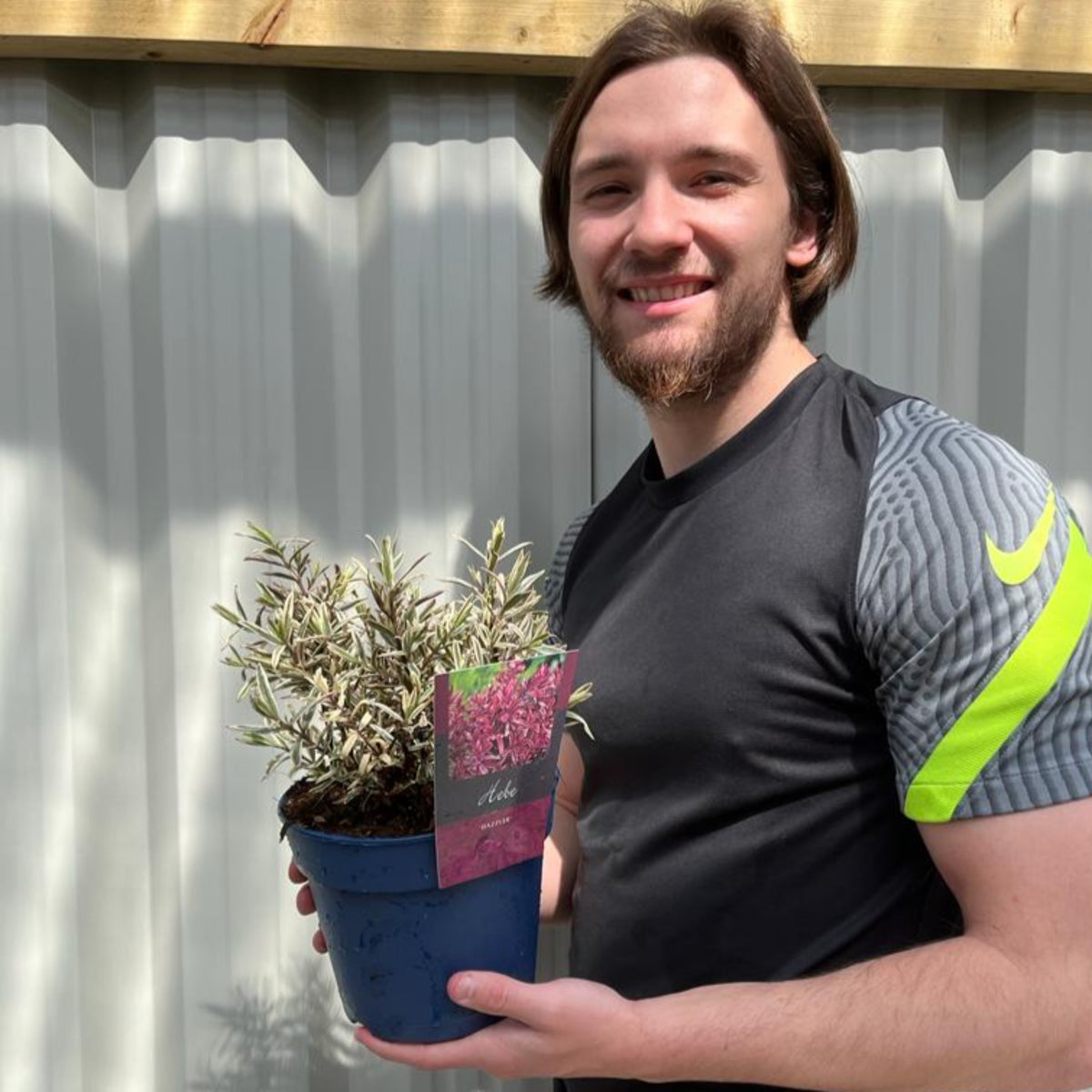 A bearded man with shoulder-length hair smiles while holding a Hebe &#39;Dazzler&#39; 2L plant with a pink tag, standing outdoors by a corrugated metal fence.