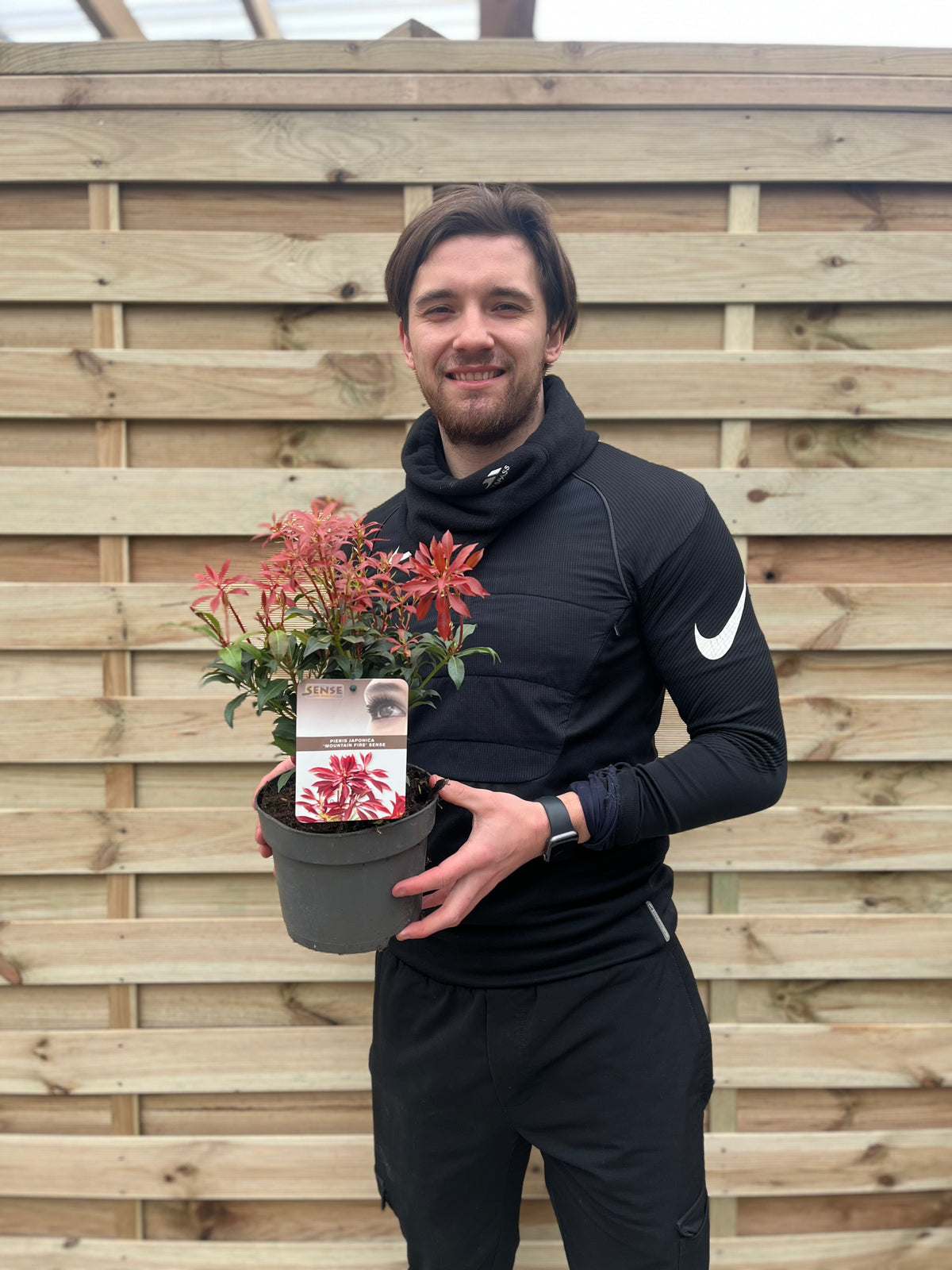 A smiling man in a black athletic outfit holds a Pieris japonica ‘Mountain Fire’ (9cm/1L/2L) with colourful foliage, standing in front of a wooden fence.
