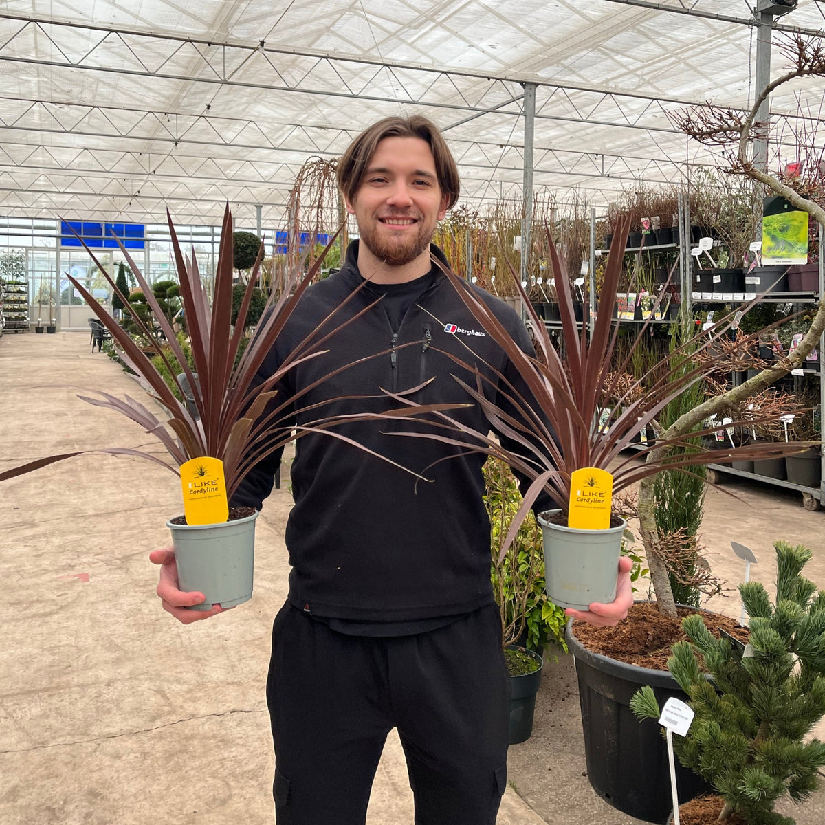 A smiling man in a black sweater stands in a greenhouse, holding two Cordyline australis &#39;Red Star&#39; plants with yellow labels. Rows of potted plants and tropical palm gardening supplies are visible in the background.