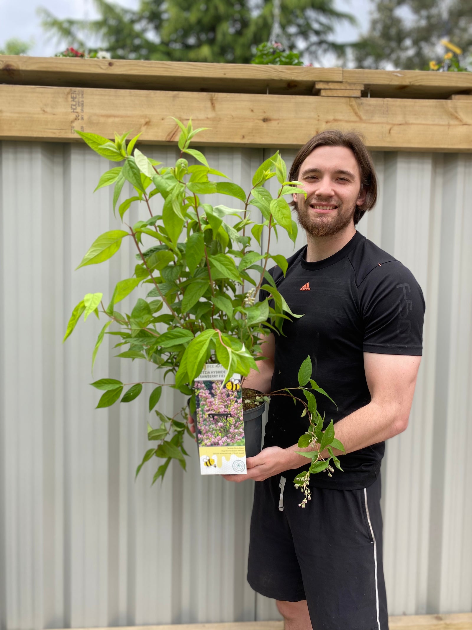 A man in a black t-shirt and shorts smiles while holding a Forsythia x intermedia Spectabilis 3L, a compact shrub with green leaves and yellow star-shaped flowers, standing outside near a metal fence and greenery.