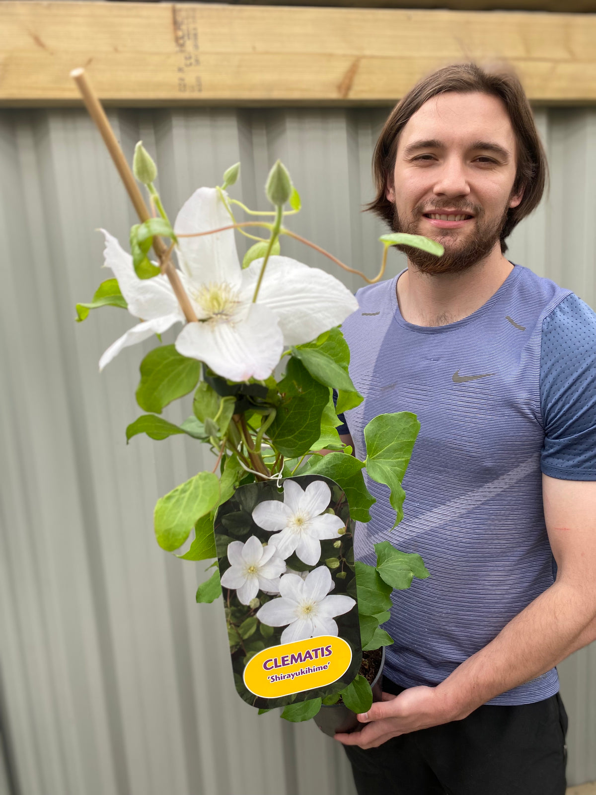 A smiling man with long brown hair holds a potted Clematis &#39;Shirayukihime&#39; (90-95cm), displaying its large white blooms and green leaves. A metal fence forms the background.