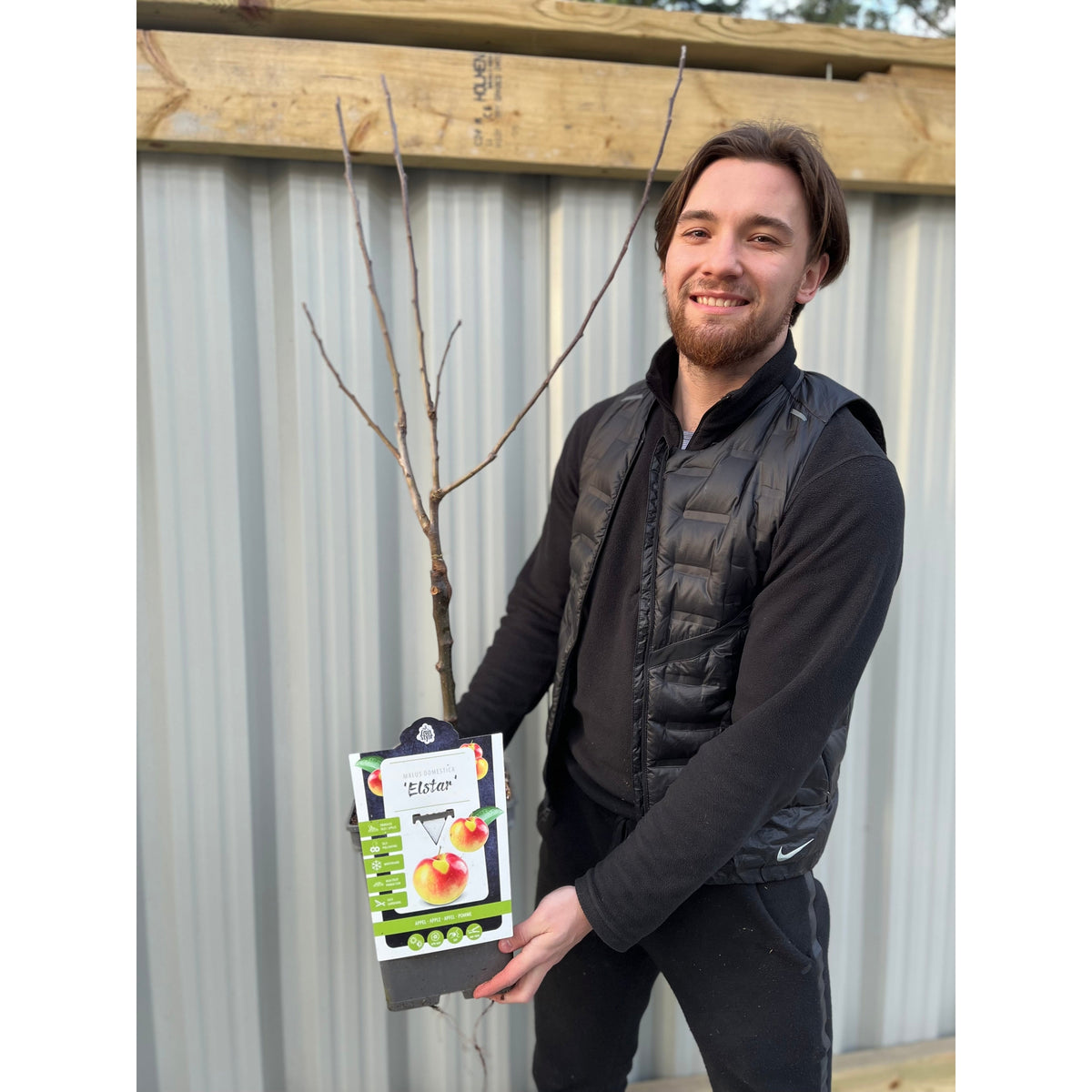 A smiling man with brown hair and a beard holds a Dwarf/Patio Apple Tree &#39;Elstar&#39; (two sizes available) in front of a metal fence, wearing a black jacket and pants.