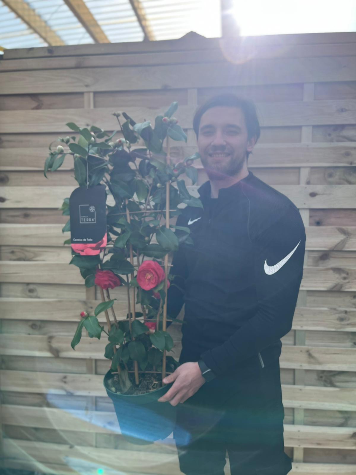 A man in black sportswear holds a Camellia on frame &#39;Cereixa de tollo&#39; 5L (100cm) with vibrant red blooms, standing before a wooden fence as sunlight streams from the upper right, creating a cheerful scene.