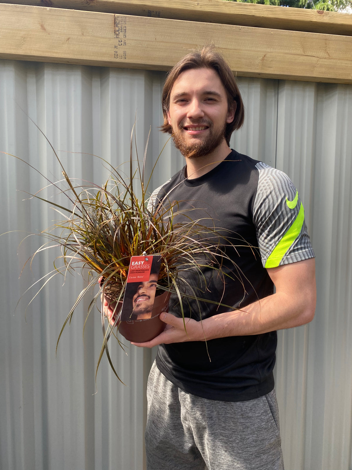 Uncinia &#39;Rubra&#39; Ornamental Grass 3L