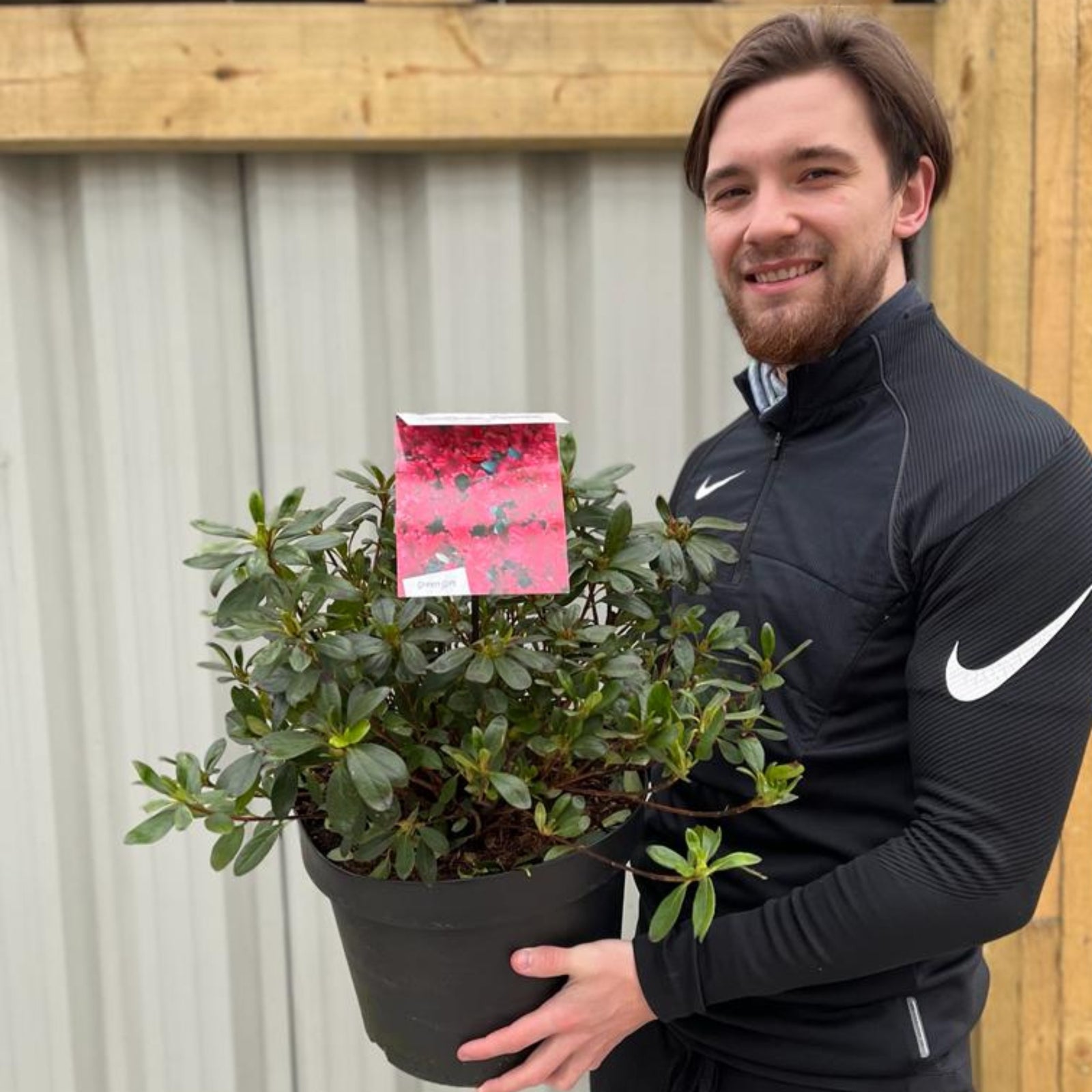 A man holding a bouquet of Azalea 'Geisha Red' flowers in a 10L container.