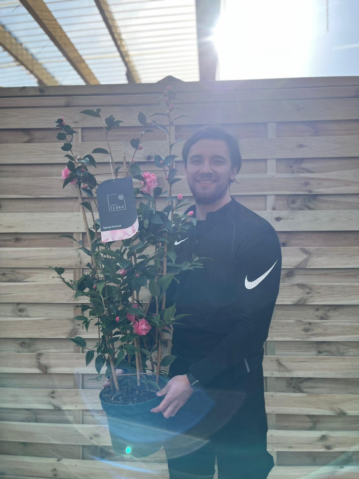 Camellia on frame 'Spring Festival ' 5L (100cm)