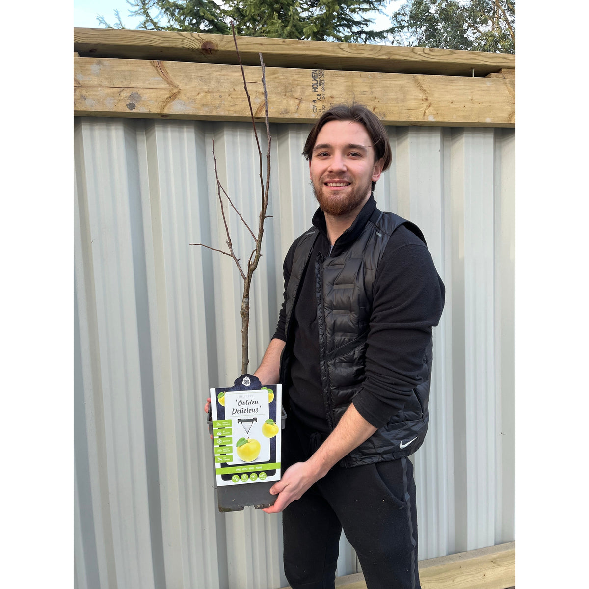 A smiling man in black holds a potted Dwarf/Patio Apple Tree - Golden Delicious 1m, standing by a corrugated metal fence and wooden beams, ready to grow sweet apples at home.