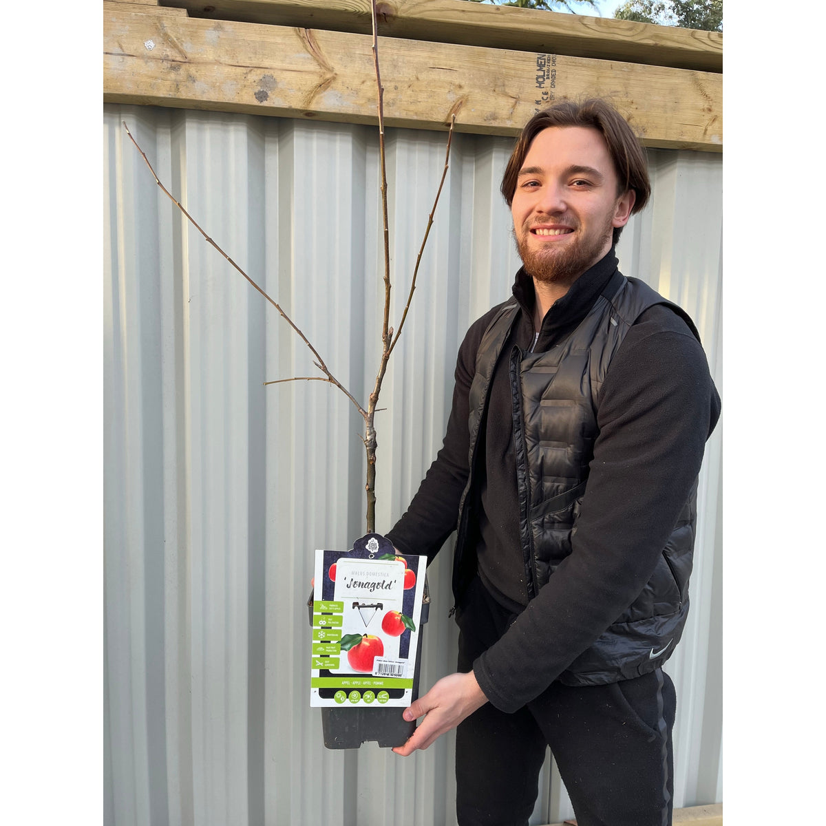 A smiling man in black clothes and a puffer vest holds a Dometica &#39;Jonagold&#39; Dwarf/Patio Apple Tree (potted) in front of a corrugated metal fence.