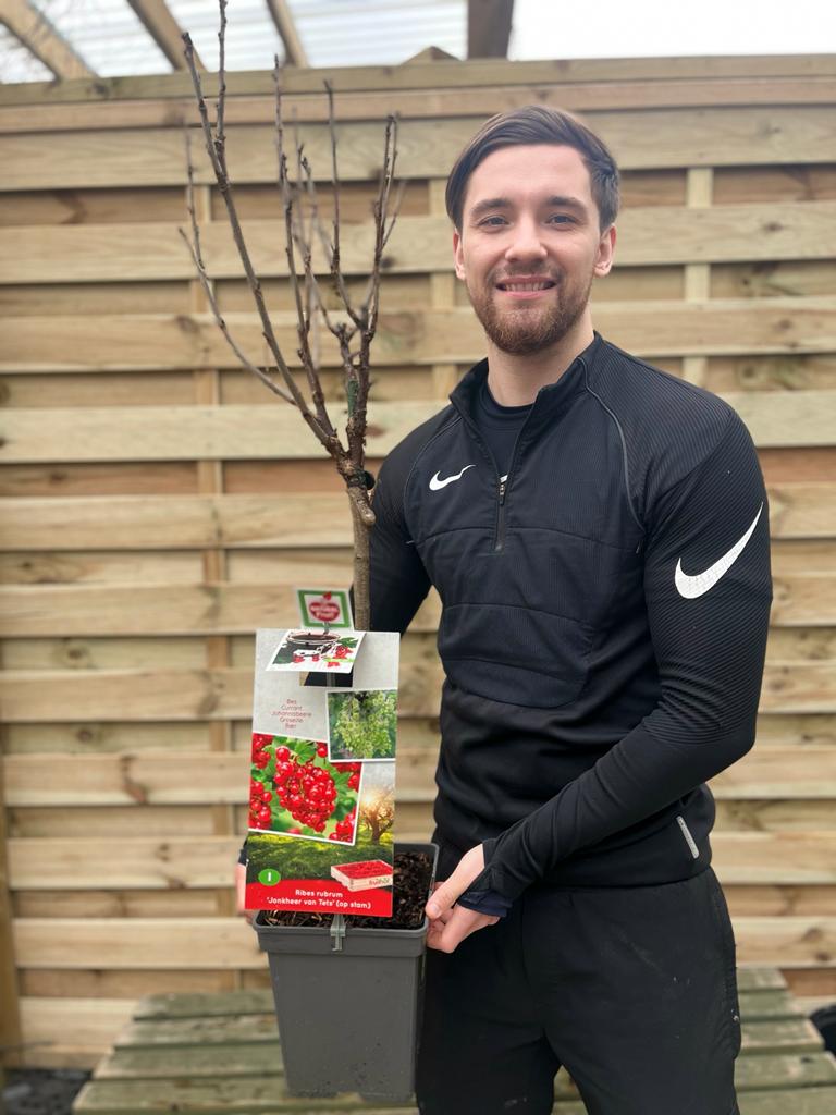 A man in black sportswear smiles while holding a Red currant bush &#39;Jonkheer van Tets&#39; 2L/4L with colorful labels in front of a wooden fence.