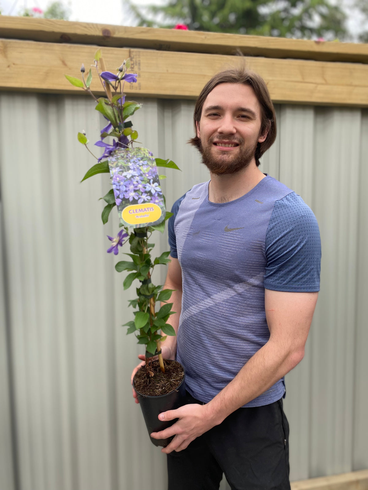 A bearded man with long brown hair, wearing a blue athletic shirt, stands outdoors holding a potted Clematis &#39;Arabella&#39; with vibrant blue flowers and a yellow label, against a backdrop of wooden fence and corrugated metal.