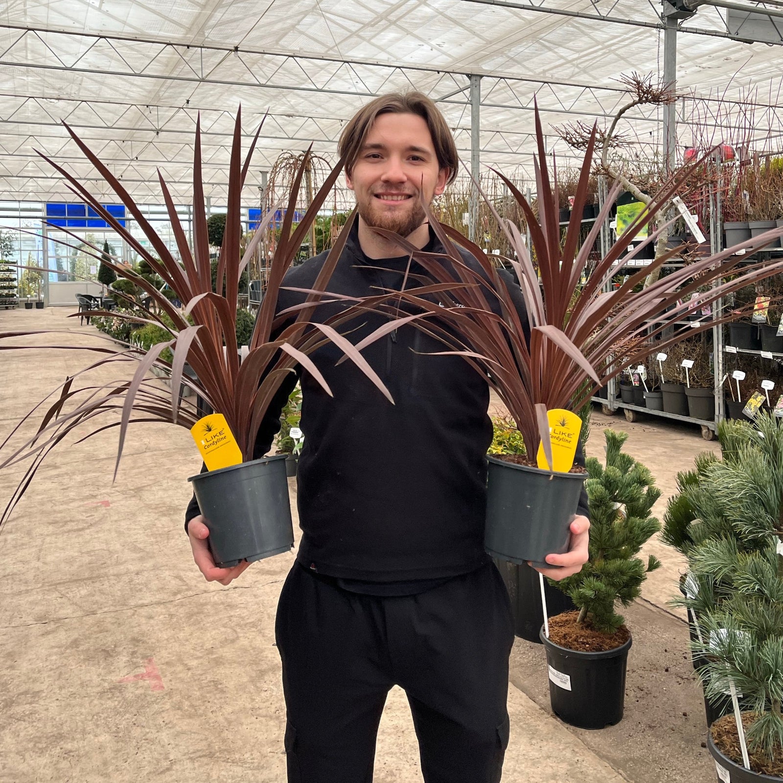 A smiling man in a black sweater stands in a greenhouse, holding two Cordyline australis 'Red Star' plants with yellow labels. Rows of potted plants and tropical palm gardening supplies are visible in the background.