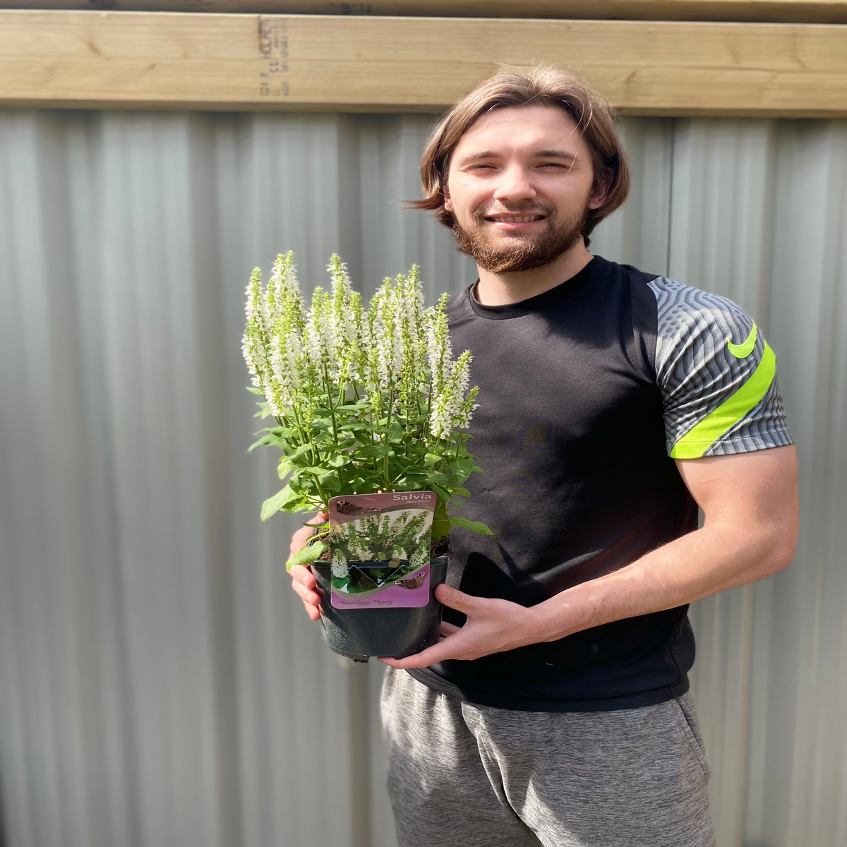 A young man with shoulder-length hair, in a black and gray athletic shirt, smiles outdoors while holding a 2L pot of Salvia &#39;Apex White&#39; in front of a corrugated metal fence and wooden beam.