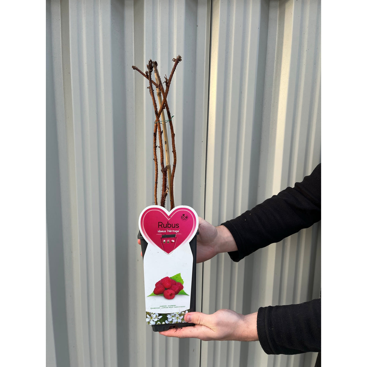 Raspberry &#39;Heritage&#39; 1L