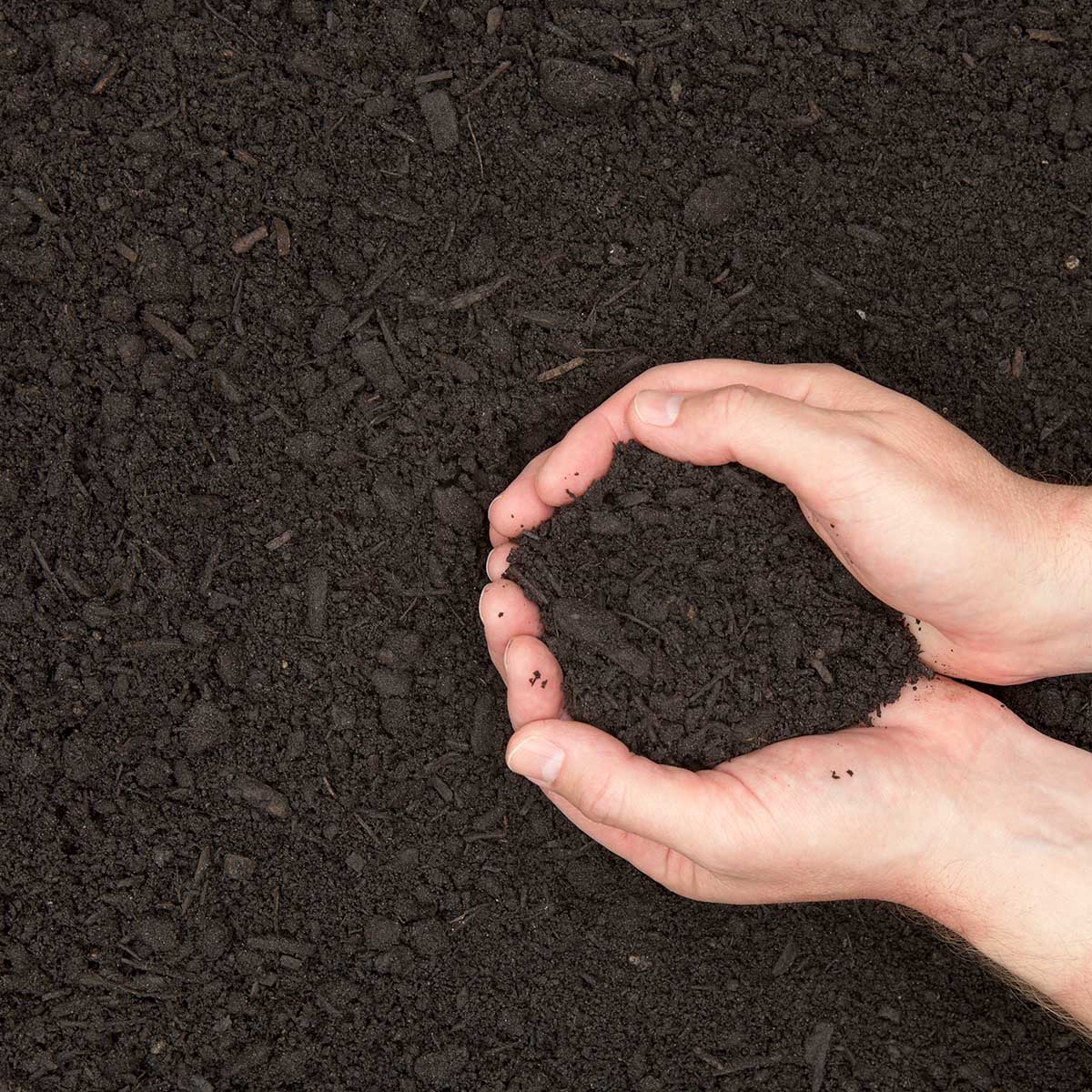 Two hands hold a mound of Organic Garden Compost 50L (Multi-buy Offers Available) against loose earth, highlighting its use for gardening or agriculture.