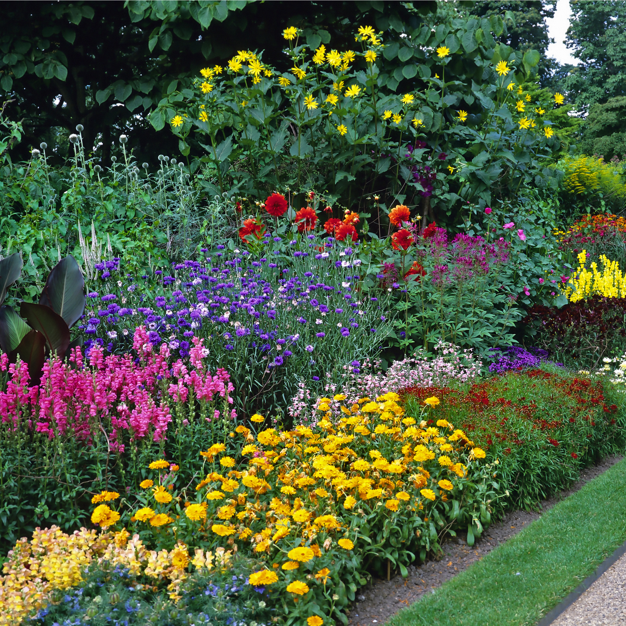 Low Maintenance Perennials Ready-made Border